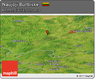 Satellite Panoramic Map of Naujoji Burbiškė
