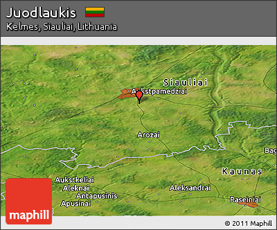 Satellite Panoramic Map of Juodlaukis