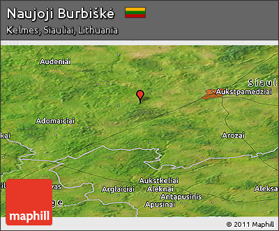 Satellite Panoramic Map of Naujoji Burbiškė
