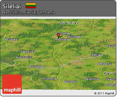 Satellite Panoramic Map of Šileliai
