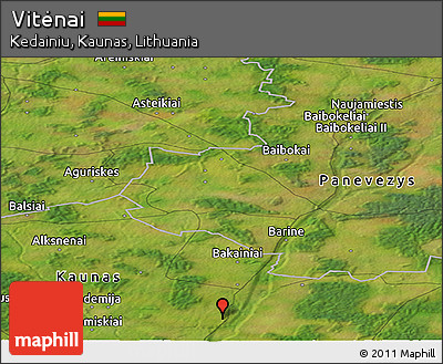 Satellite Panoramic Map of Vitėnai