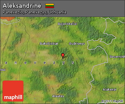 Satellite Map of Aleksandrinė