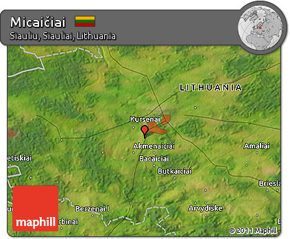 Satellite 3D Map of Micaičiai