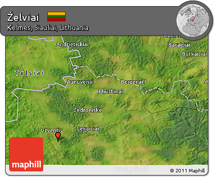 Satellite 3D Map of Želviai
