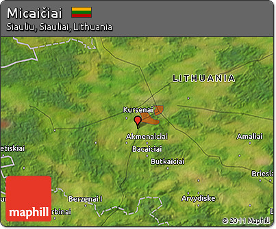 Satellite 3D Map of Micaičiai