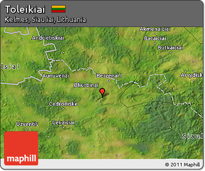 Satellite 3D Map of Toleikiai