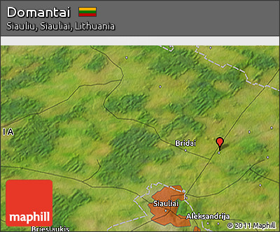 Satellite 3D Map of Domantai