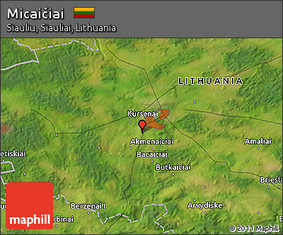 Satellite 3D Map of Micaičiai