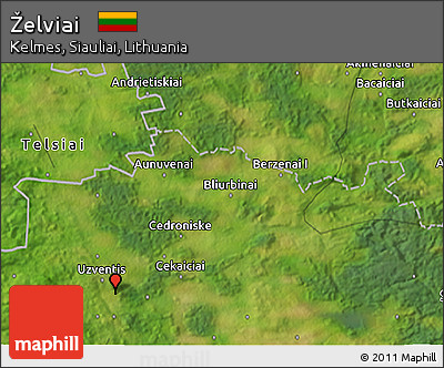 Satellite 3D Map of Želviai