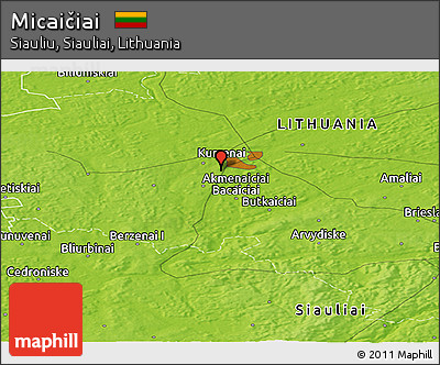 Physical Panoramic Map of Micaičiai