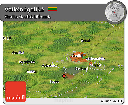 Satellite Panoramic Map of Vaikšnėgalikė