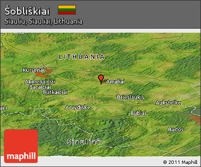 Satellite Panoramic Map of Šobliškiai