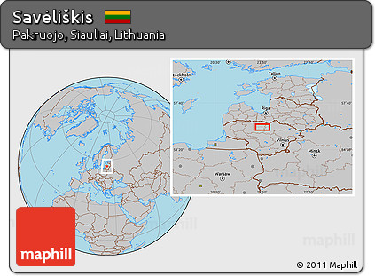 Gray Location Map of Savėliškis
