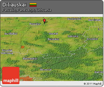Satellite Panoramic Map of Diliauskai