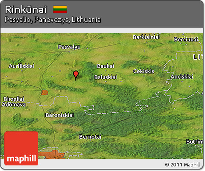 Satellite Panoramic Map of Rinkūnai