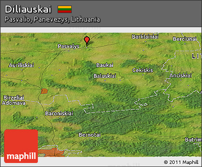 Satellite Panoramic Map of Diliauskai
