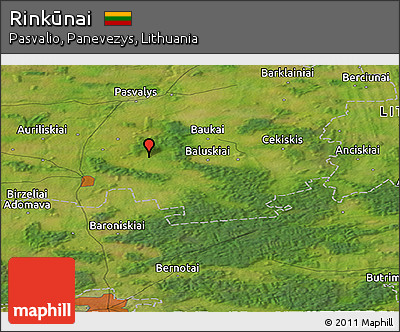 Satellite Panoramic Map of Rinkūnai