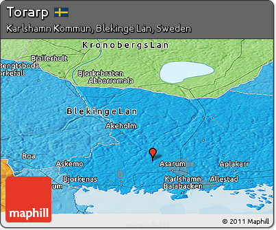 Political Panoramic Map of Torarp