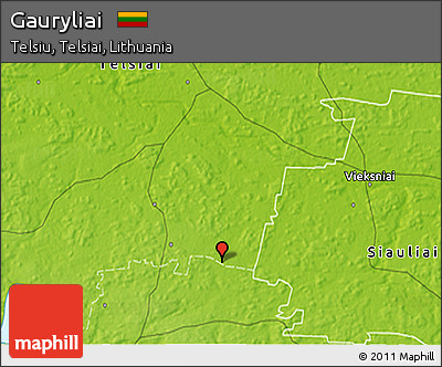 Physical 3D Map of Gauryliai