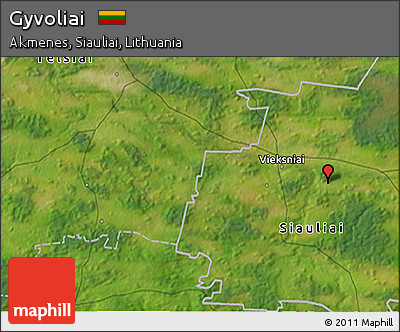 Satellite 3D Map of Gyvoliai