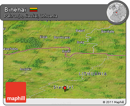 Satellite Panoramic Map of Binėnai