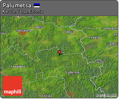Satellite Map of Palumetsa