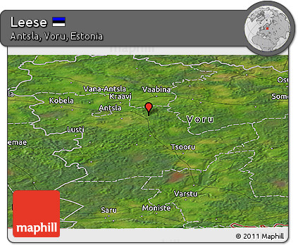 Satellite Panoramic Map of Leese