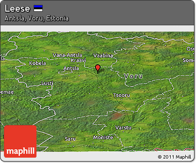Satellite Panoramic Map of Leese