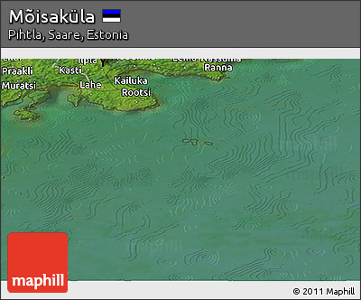 Satellite Panoramic Map of Mõisaküla
