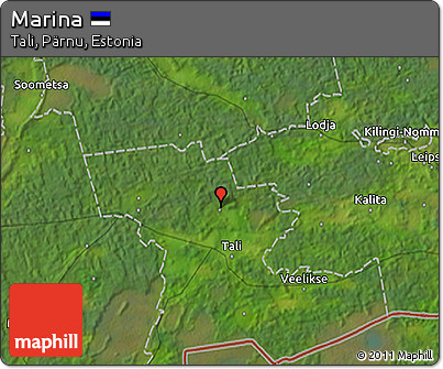 Satellite 3D Map of Marina