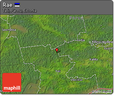 Satellite 3D Map of Rae