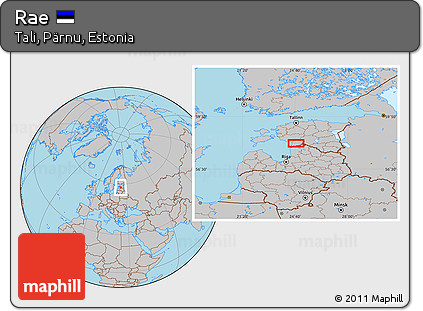 Gray Location Map of Rae