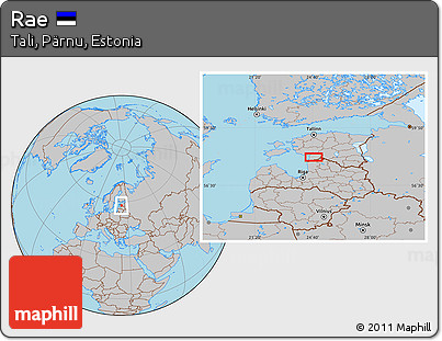 Gray Location Map of Rae