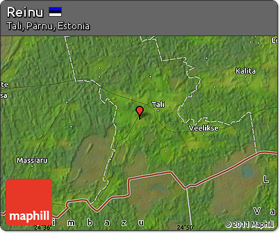 Satellite Map of Reinu