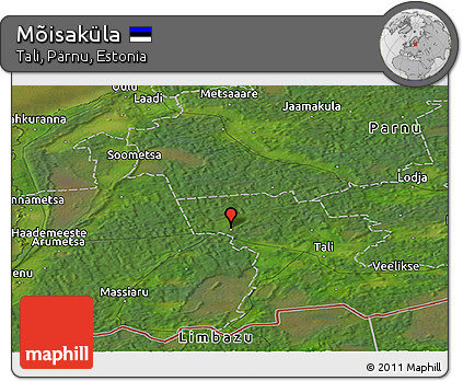 Satellite Panoramic Map of Mõisaküla