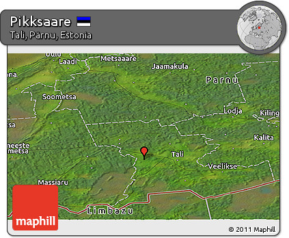 Satellite Panoramic Map of Pikksaare