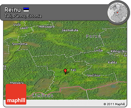 Satellite Panoramic Map of Reinu
