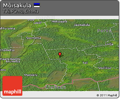 Satellite Panoramic Map of Mõisaküla