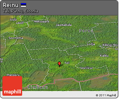 Satellite Panoramic Map of Reinu