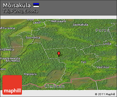 Satellite Panoramic Map of Mõisaküla