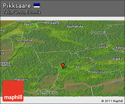 Satellite Panoramic Map of Pikksaare