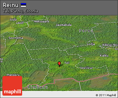 Satellite Panoramic Map of Reinu