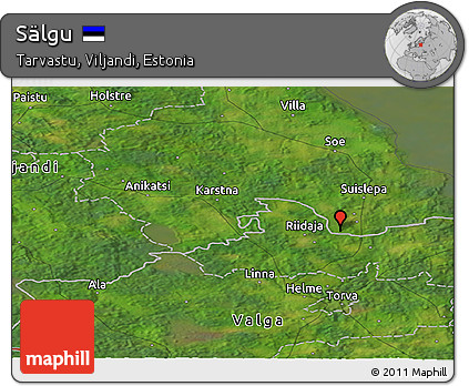Satellite Panoramic Map of Sälgu
