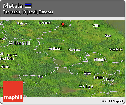 Satellite Panoramic Map of Metsla