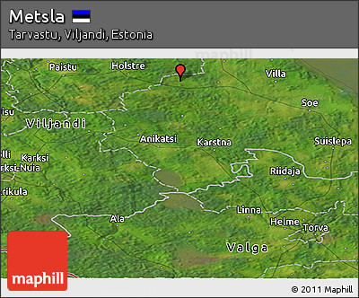 Satellite Panoramic Map of Metsla