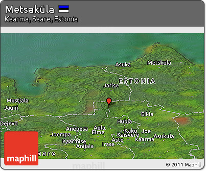 Satellite Panoramic Map of Metsaküla