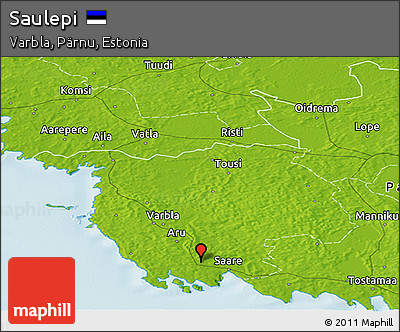 Physical Panoramic Map of Saulepi