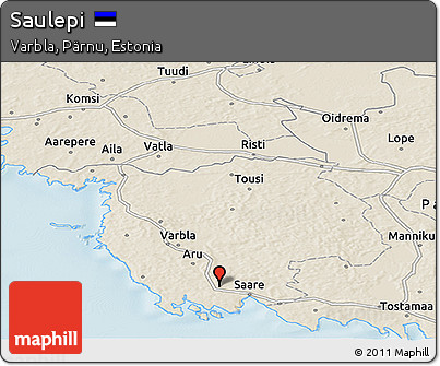Shaded Relief Panoramic Map of Saulepi