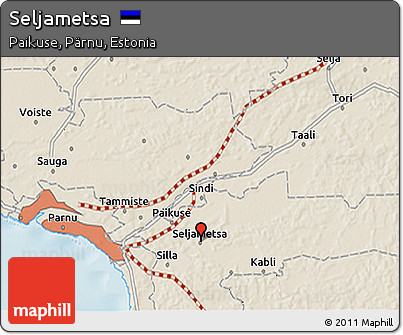 Shaded Relief 3D Map of Seljametsa