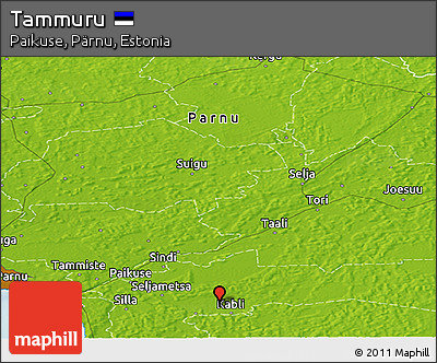 Physical Panoramic Map of Tammuru